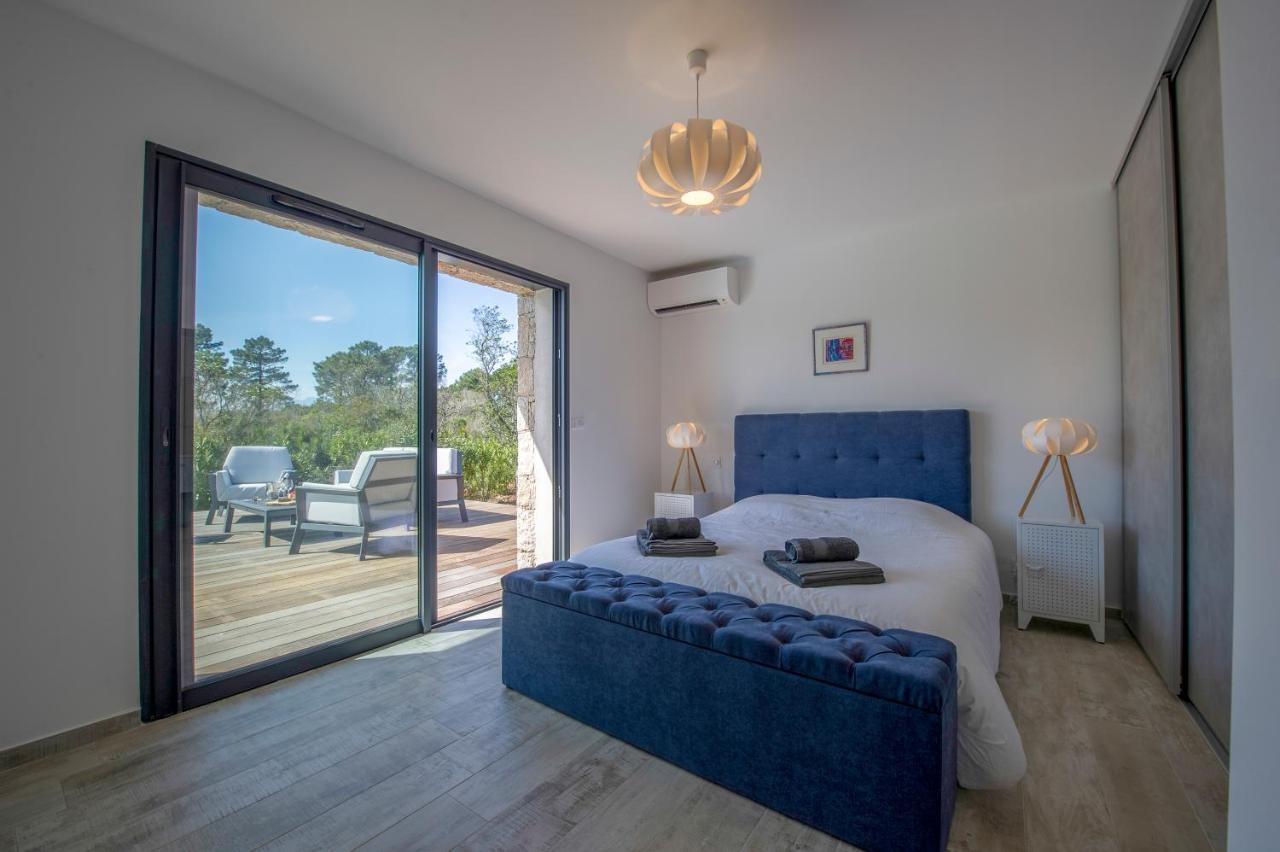 Villa Calme Luxueuse Et Proche Plage Saint-Cyprien ليسي المظهر الخارجي الصورة